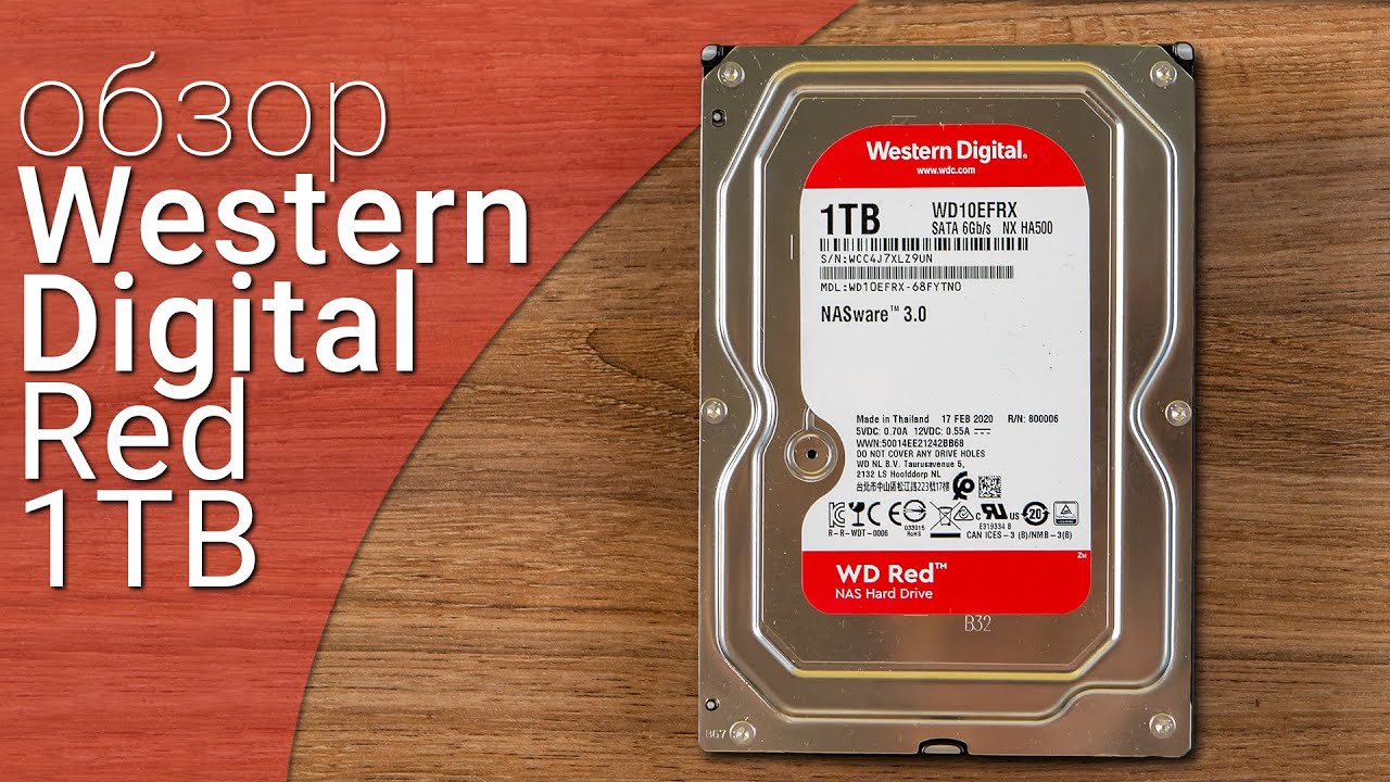 Обзор жесткого диска Western Digital WD10EFRX / Root Nation