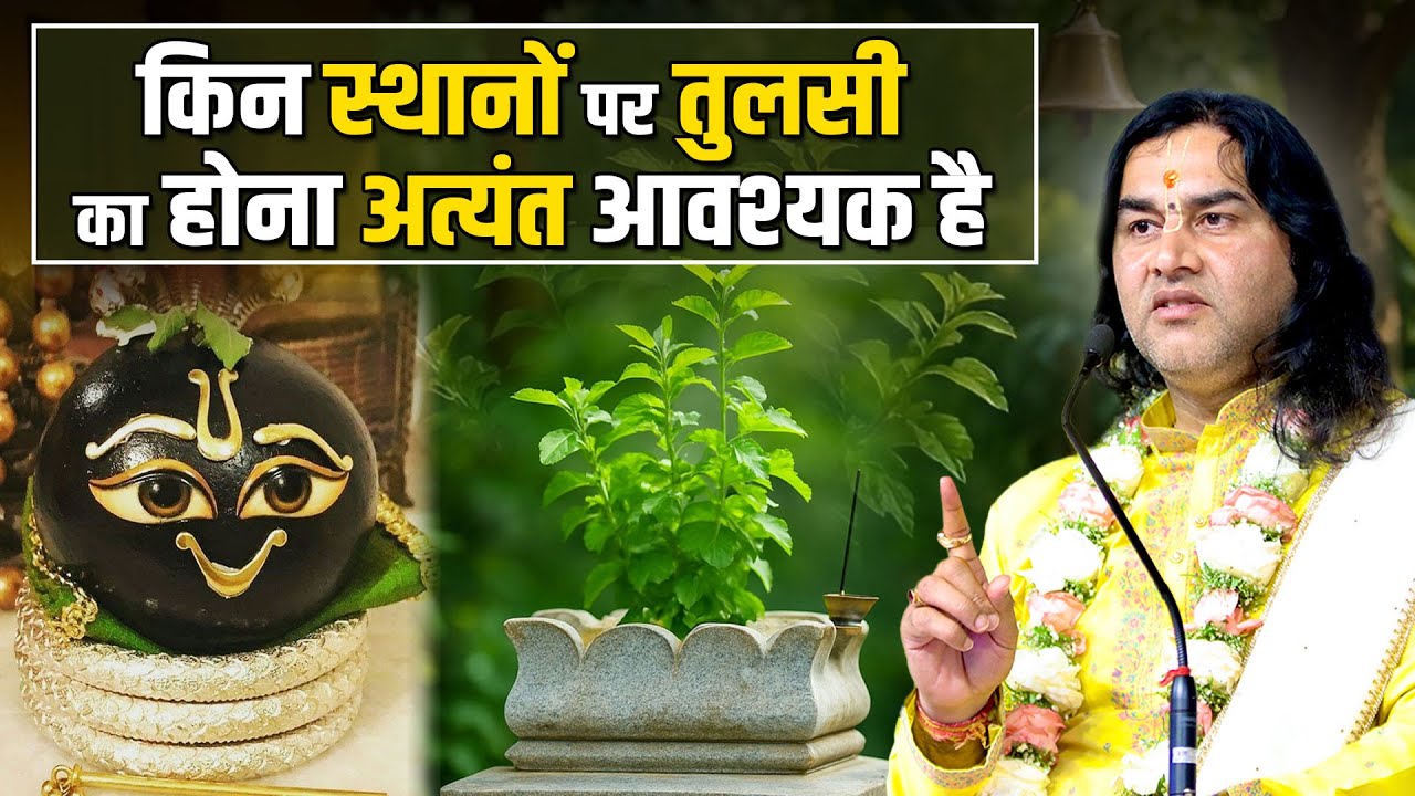 किन स्थानों पर तुलसी का होना अत्यंत आवश्यक है    Shri Devkinandan Thakur Ji
