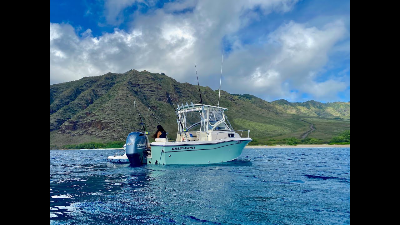 TheBoatLife - Grady White Adventure 208