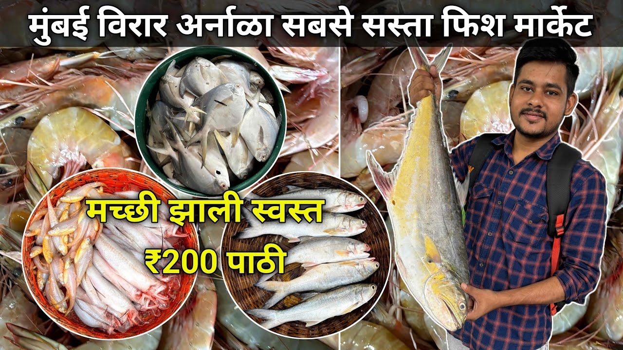 Virar Arnala Fish Market | Arnala Beach Fish Market | Wholesale Fish Market In Mumbai