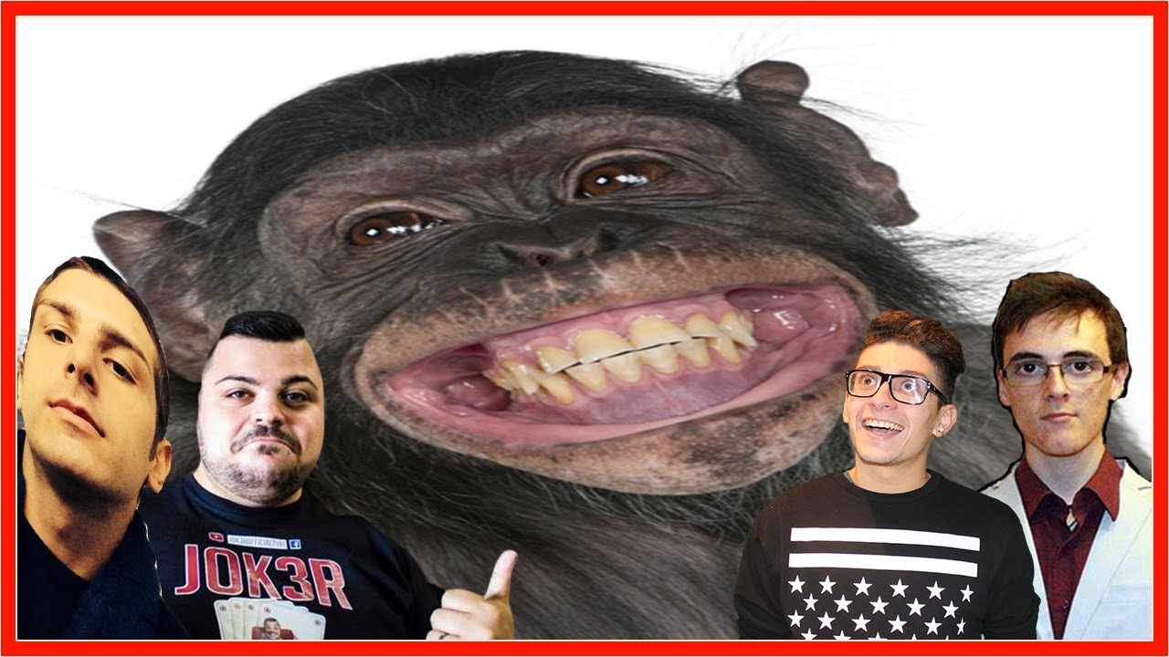 ST3PNY RIDE COME UN POLLO w/ SurrealPower & J0k3r