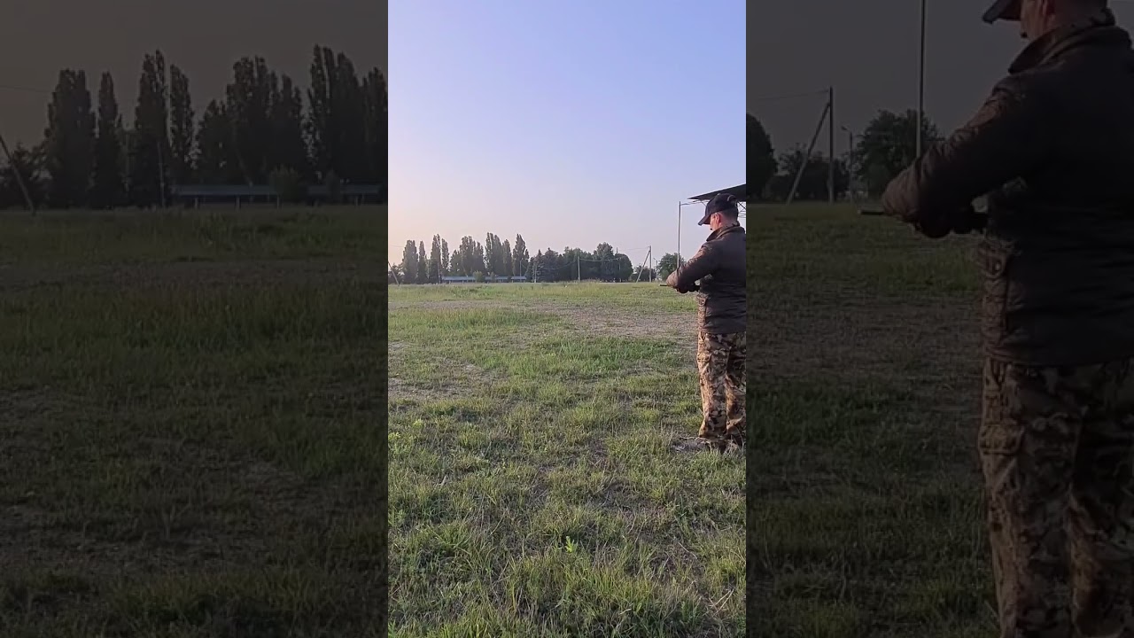 Gun-dog training. A Russian hunting spaniel. Working out the feed label. Русский охотничий спаниель.