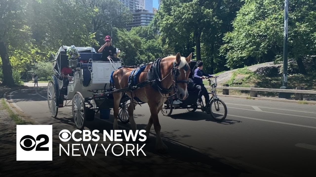 NYC Mayor Eric Adams cracking down on carriage horse industry