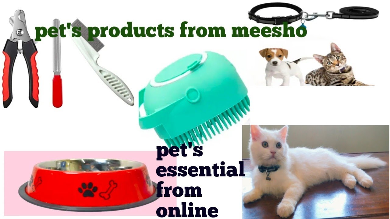 New kitten essentials : Things needs every pet's guardian:Persian kitten product from meesho 