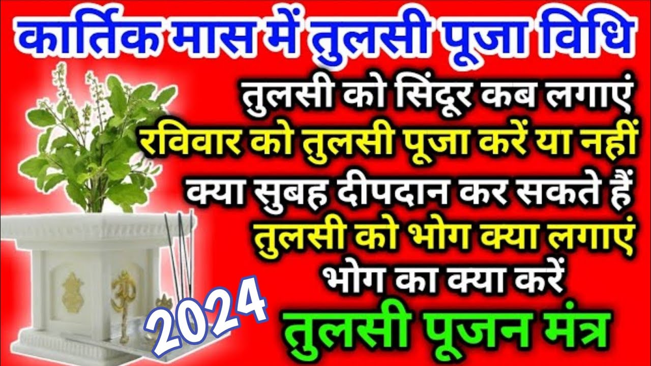 तुलसी पूजन कैसे करें । कार्तिक मास में प्रतिदिन तुलसी पूजा कैसे करें प्रतिदिन दीपदान कैसे करें Tulsi