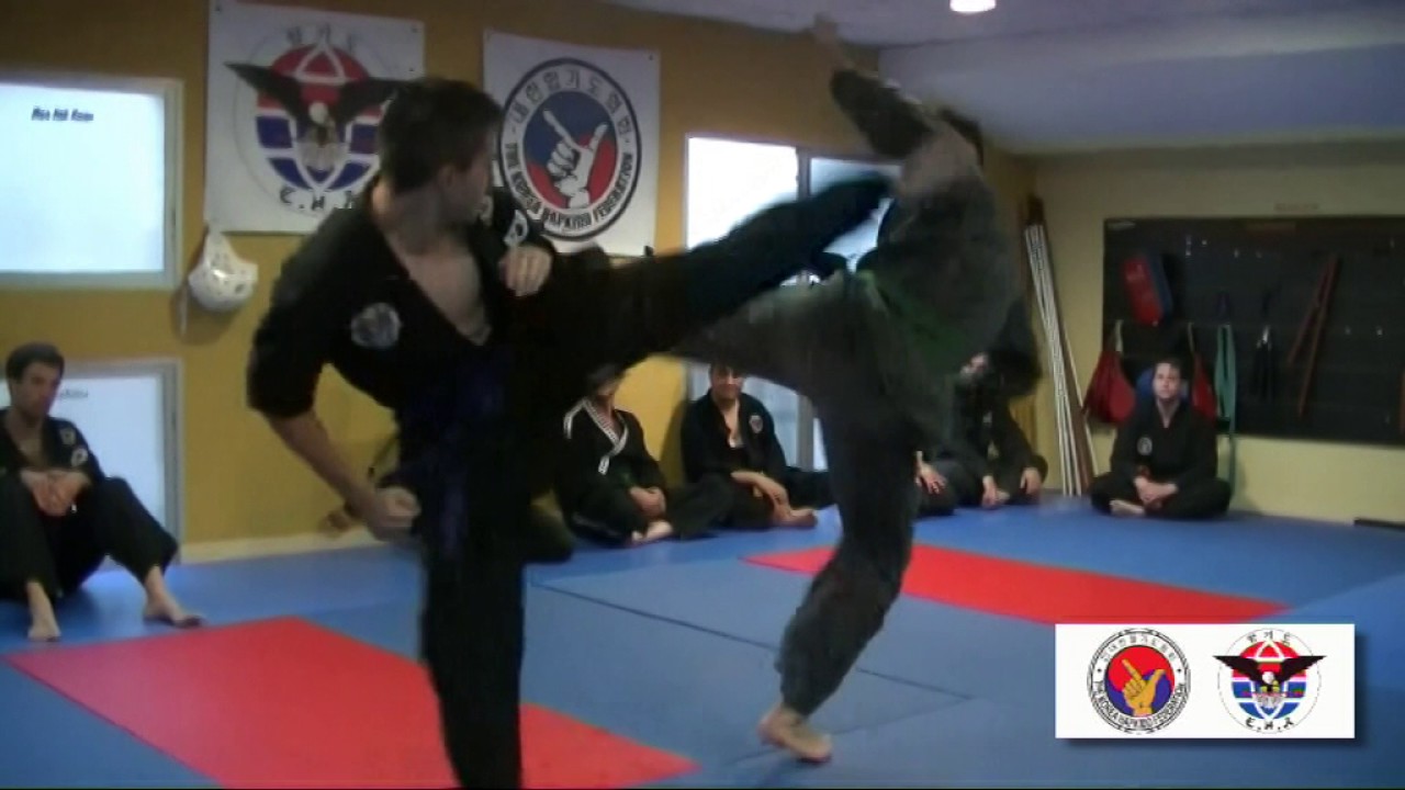 All you need is HAPKIDO