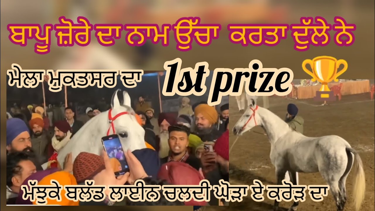 Mukatsar Maghi Mela(2023)Winner Horse Dulla Majuke Blood Line