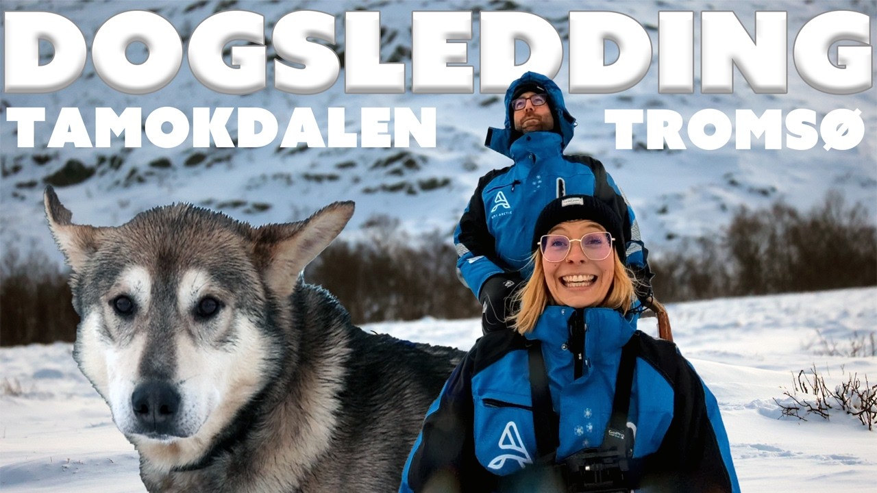 Epic Dog Sledding & Cute Puppies in Tamokdalen, Norway | Arctic Adventure