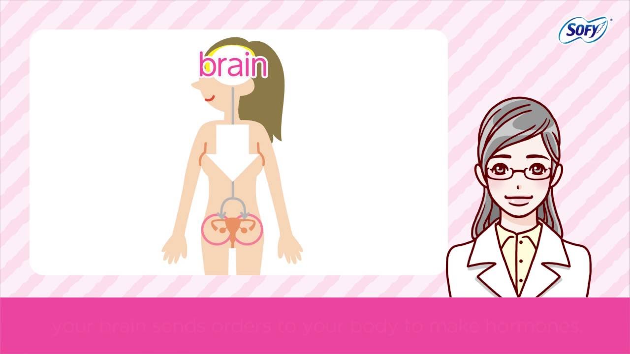 Changes in My Body?  “Sofy Girls Period Video Guide vol.3 ”