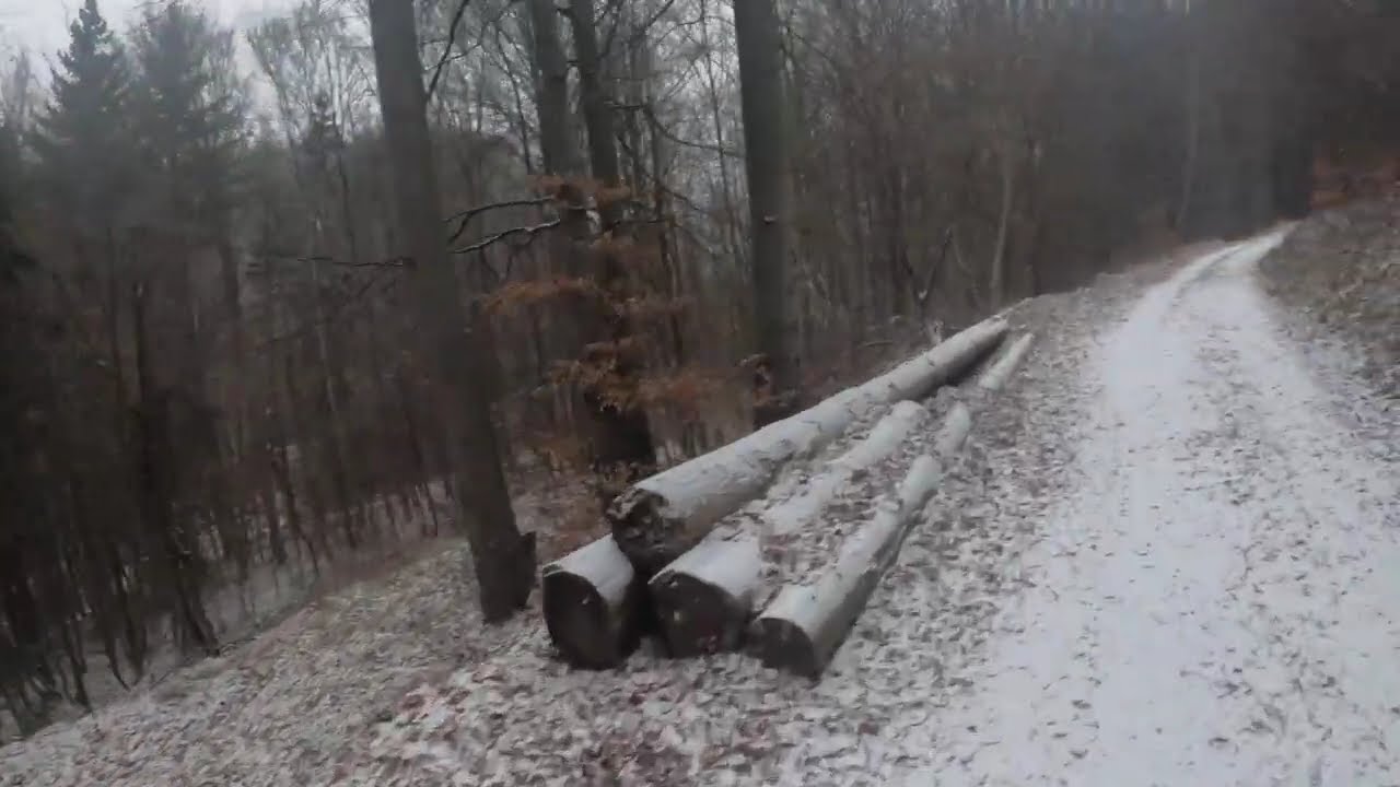 WINTER IM WWALD-KULTUR-RAD-TOUREN.