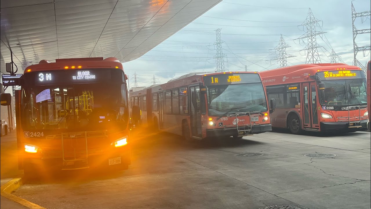 MiWay buses at Kipling 