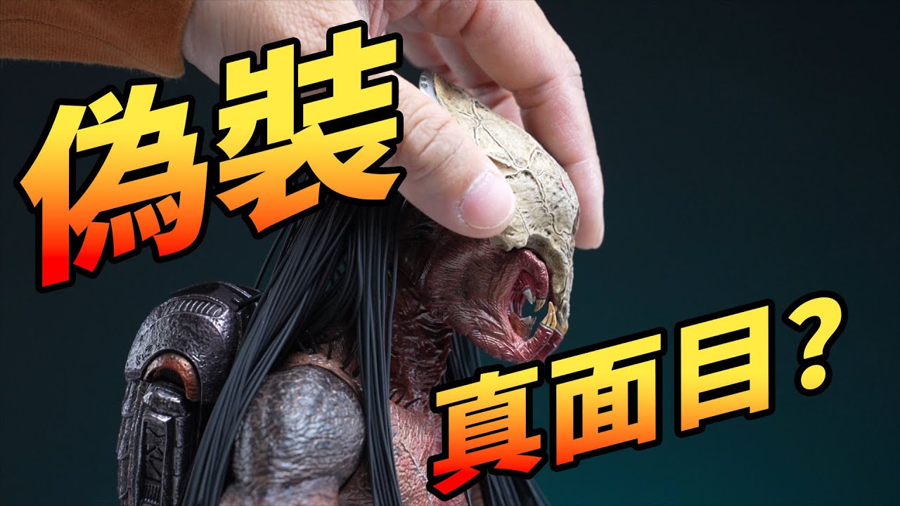 終於見到真面目  Hot Toys最新作  鐵血戰士狩獵追擊  鐵血戰士1:6比例珍藏人偶全球首發【玩大的博物館】