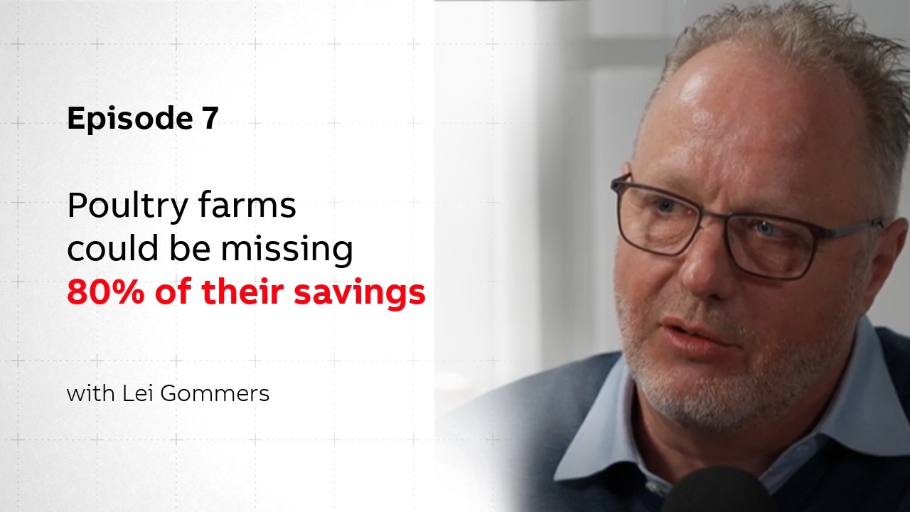 Poultry Farms Could Be Missing 80% of Their Savings | Fact over Fiction
