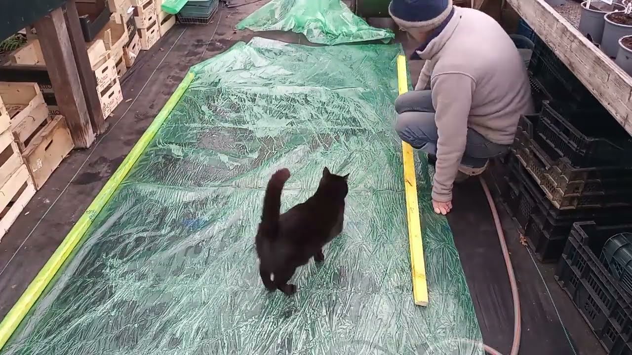 Rain stops play!