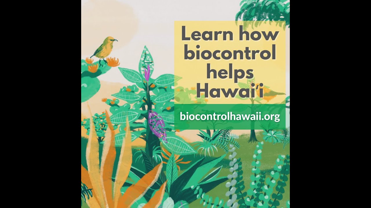 What is Biocontrol?