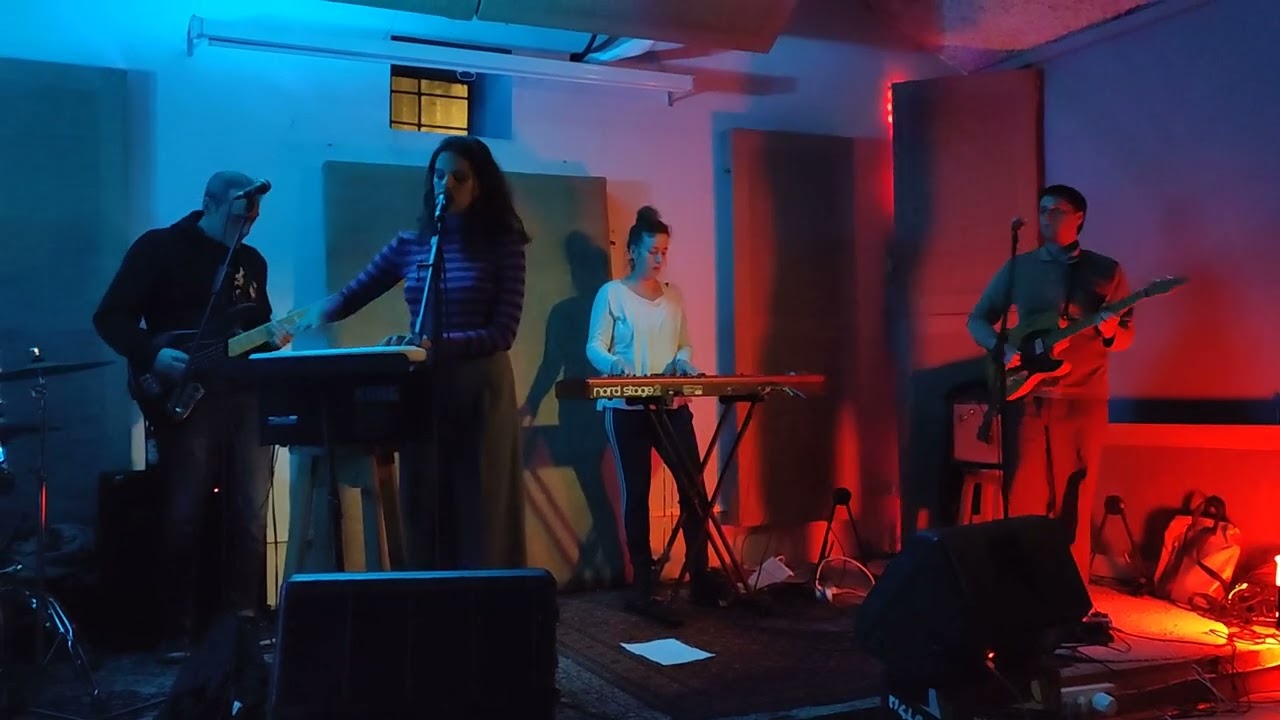 שקד מוכיח - אין מבוכה