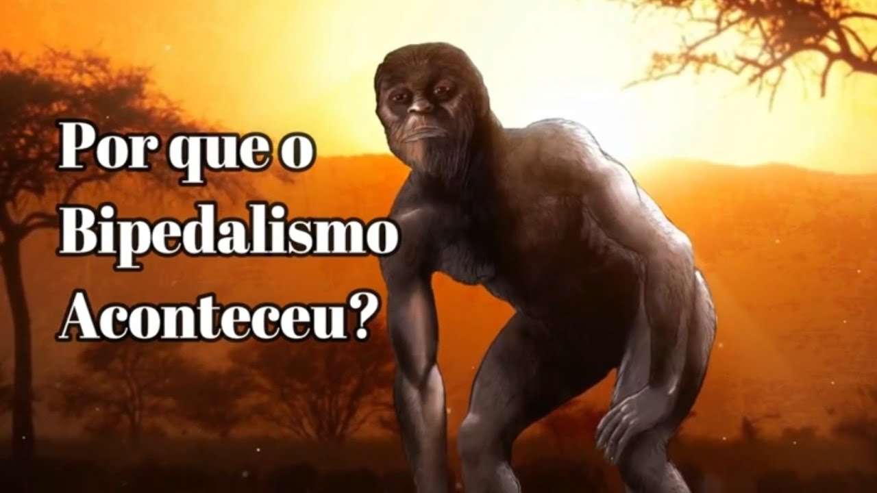 Como os Hominídeos se Tornaram Bípedes?