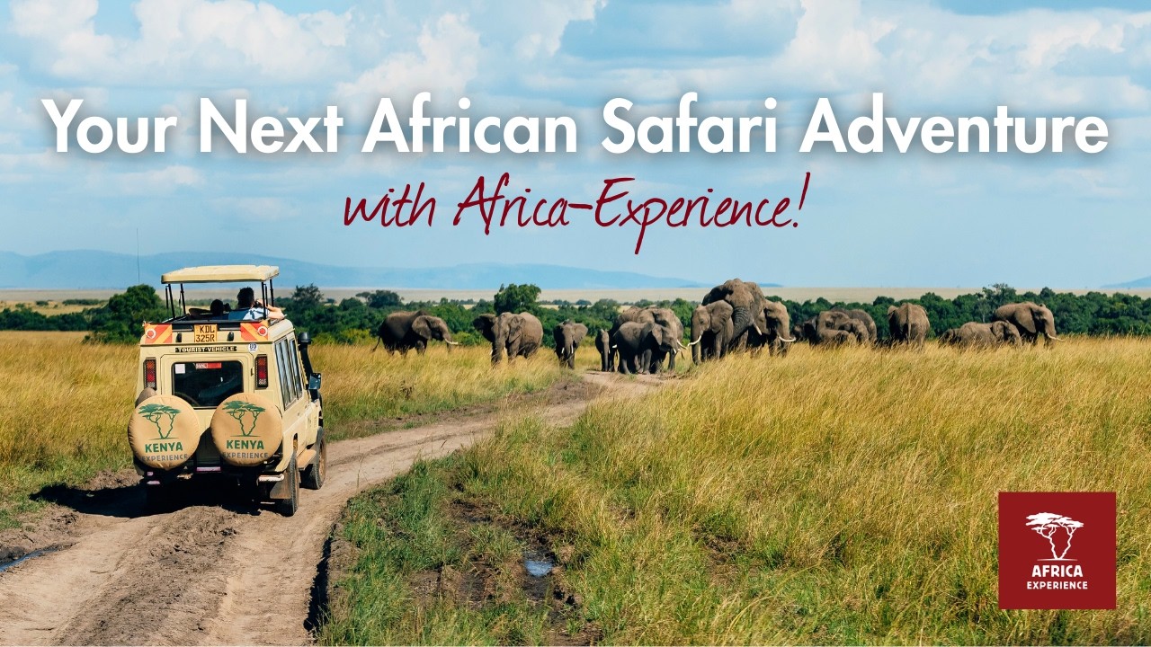 Your Next African Adventure | Safaris in Tanzania, Kenya, Namibia, Botswana & South Africa
