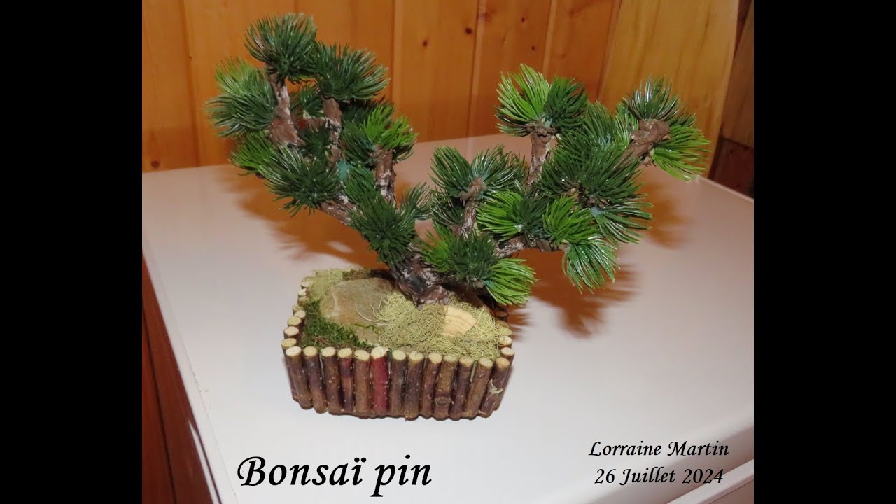 Comment faire un bonsaï artificiel, miniature avec des matériaux naturels un feuillage de résineux