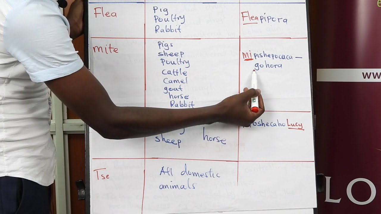 Science Standard 7 & 8 Online Session