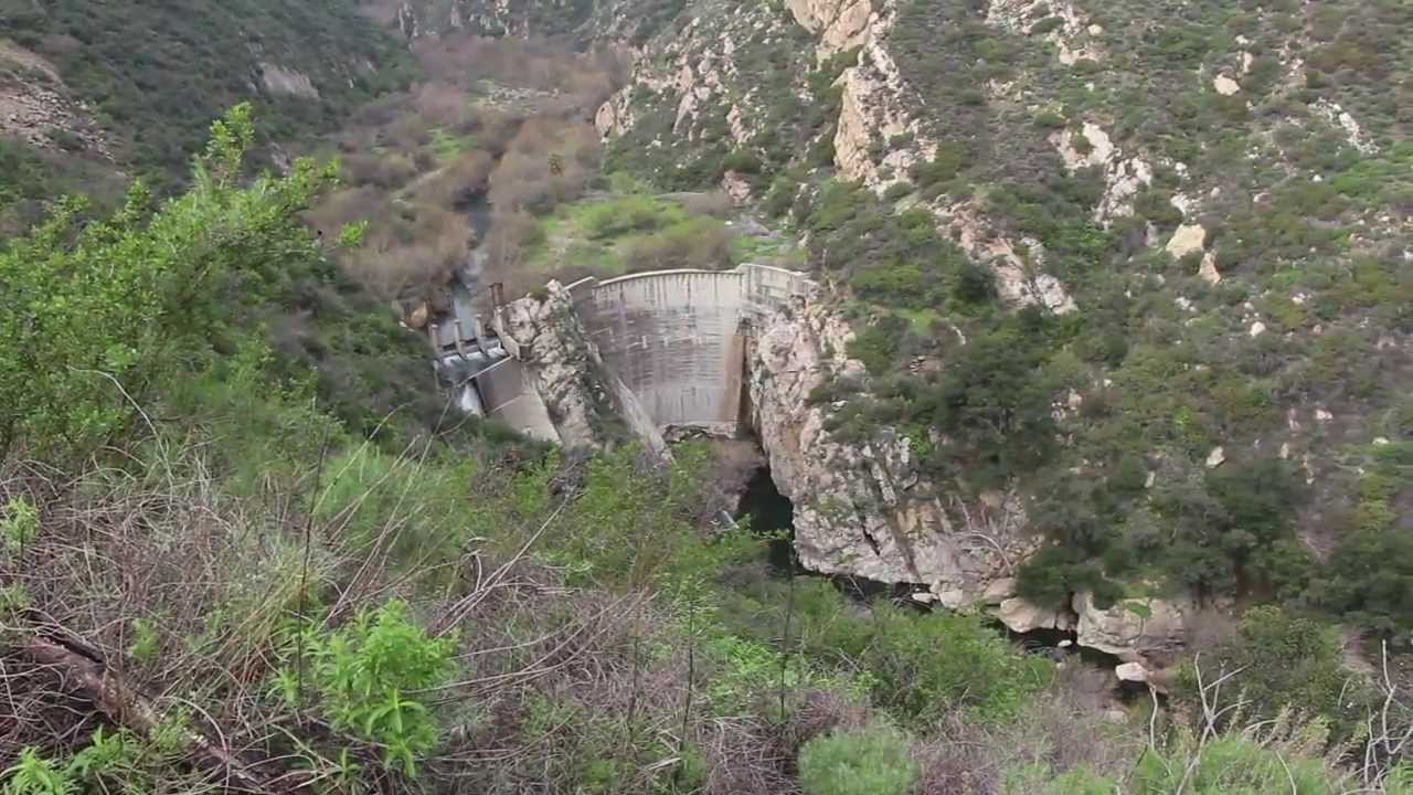 Southern California Steelhead: Against All Odds
