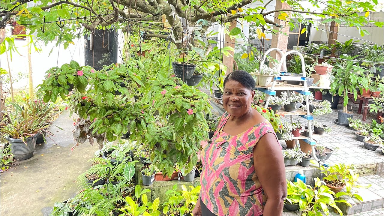 Tour Nas Plantas da Mamãe/ Elas estão lindas 🌹
