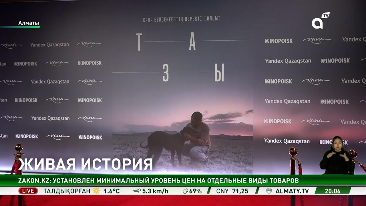 Наследие Великой степи в цифре: Yandex Qazaqstan представил фильм о казахских тазы