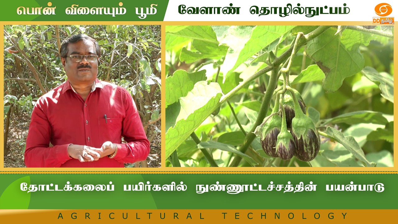 தோட்டக்கலைப் பயிர்களில் நுண்ணூட்டச்சத்தின் பயன்பாடு | Agriculture Technology