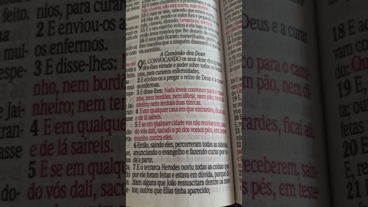 VOCÊ FAZ PARTE DA COMISSÃO DOS DOZE , VÁ E FAÇA COMO ELE TE INSTRUIU. AMÉM🔥🔥🔥