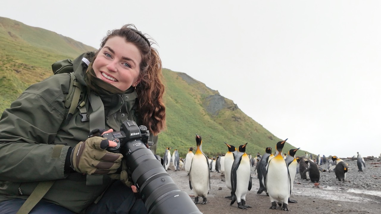 Wildlife Photography in Sub-Antarctic New Zealand and Australia