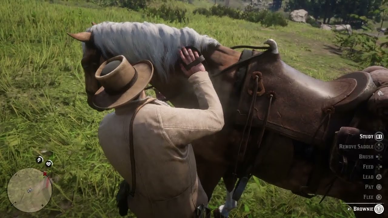 Red Dead Redemption 2 My new Horse named  Brownie. Im keeping her