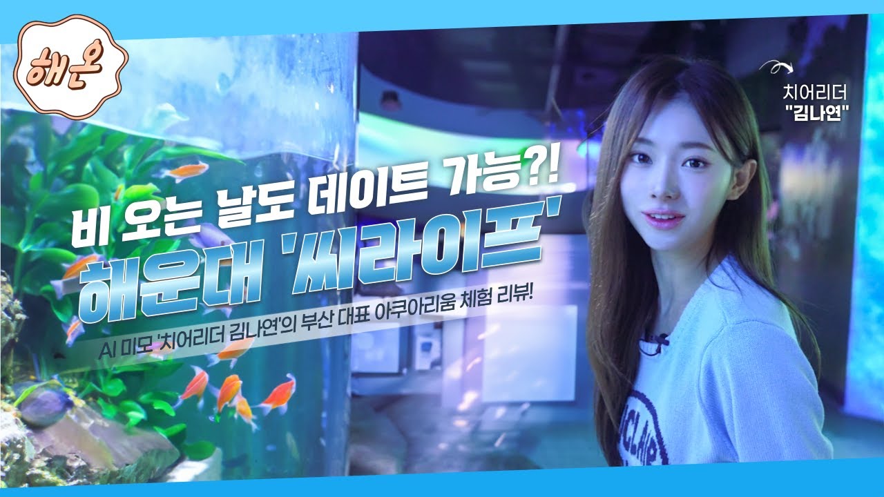 비오는 날에도 인생샷 건질 수 있다?! 해운대 🌊씨라이프🌊! 귀요미 수달부터 무시무시한 상어까지~💙