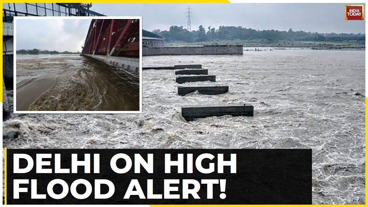 Weather Update: 5 Killed In Delhi In Rain-Related Incidents, Yamuna Water Level Highest In 10 Years