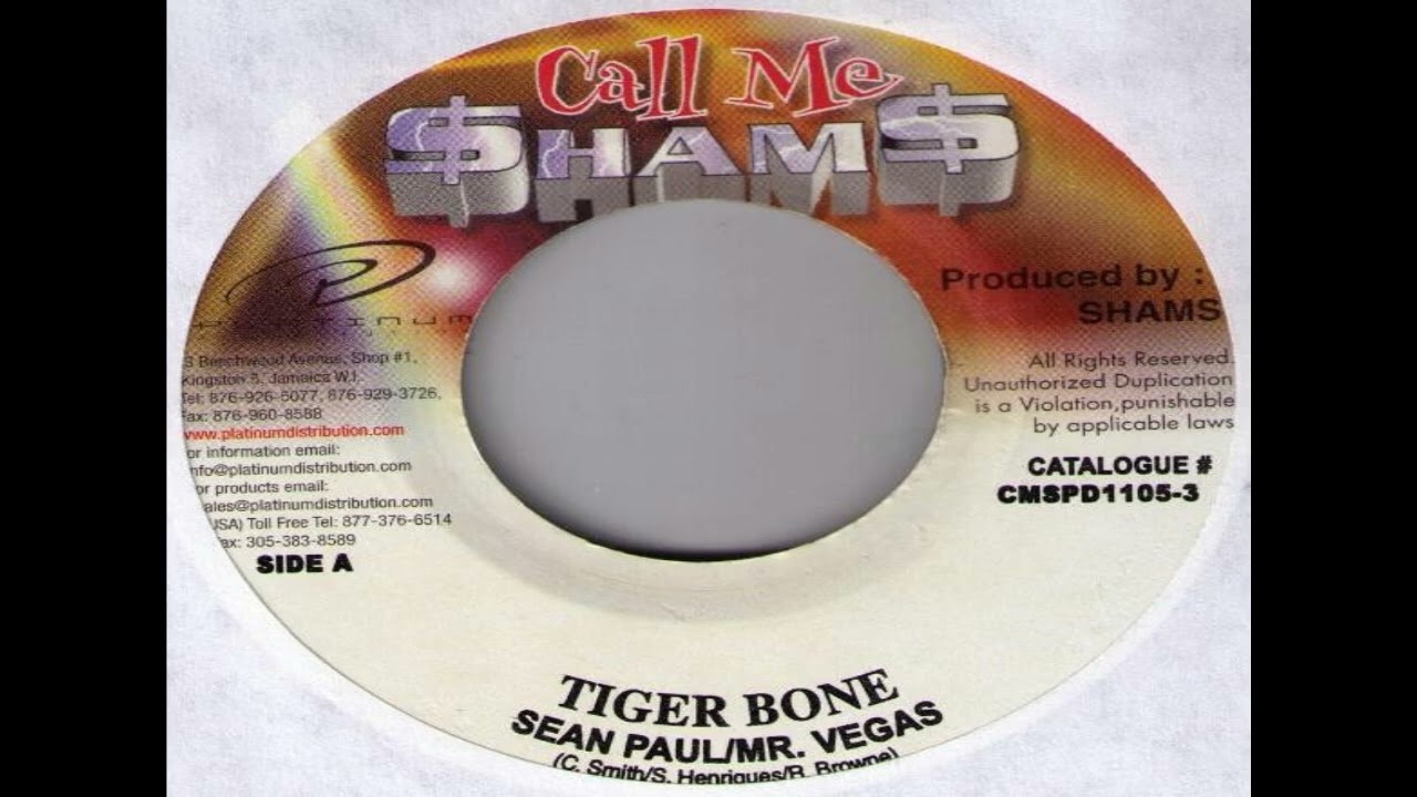 SEAN PAUL & MR  VEGAS   TIGER BONE by dj diego