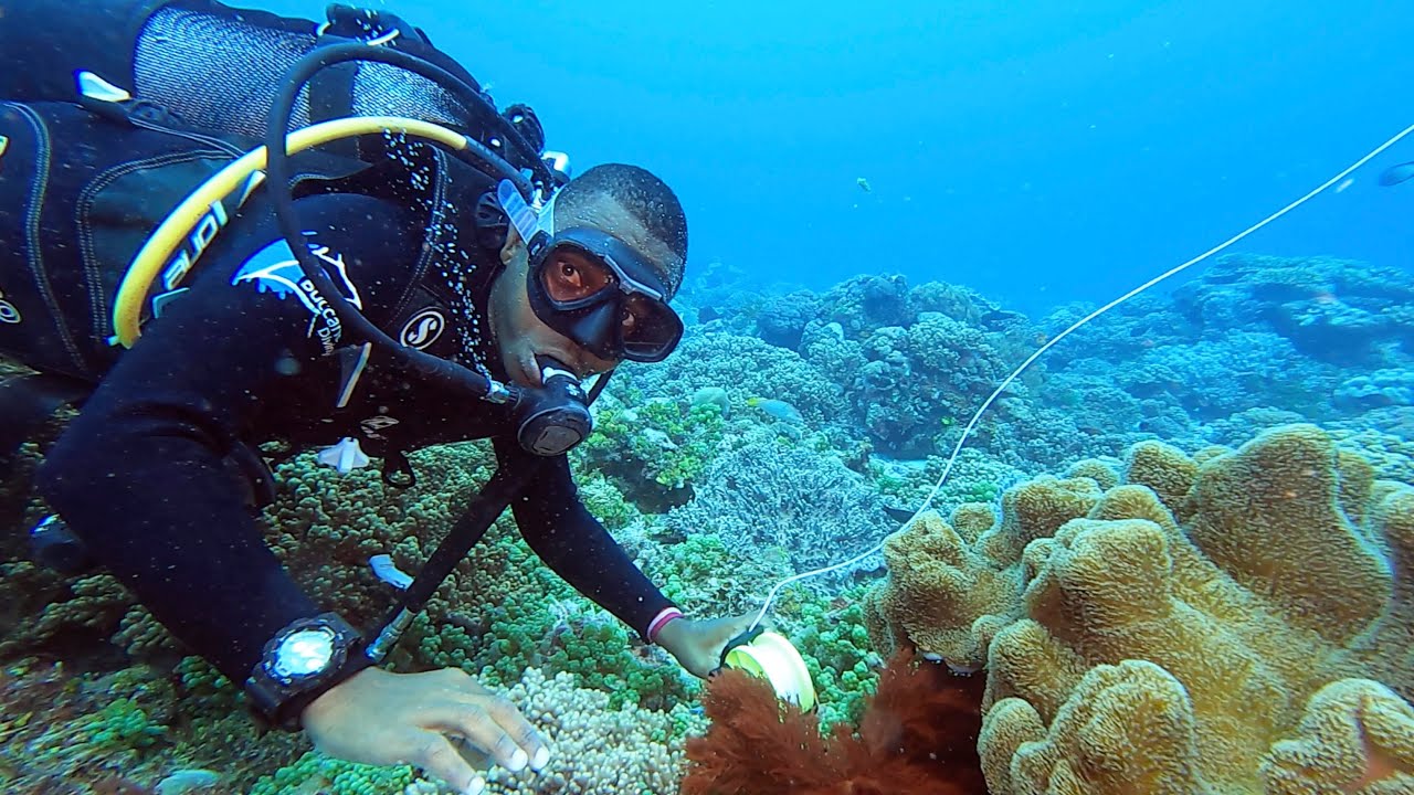 Diving in Paje, Zanzibar, Tanzania 2021