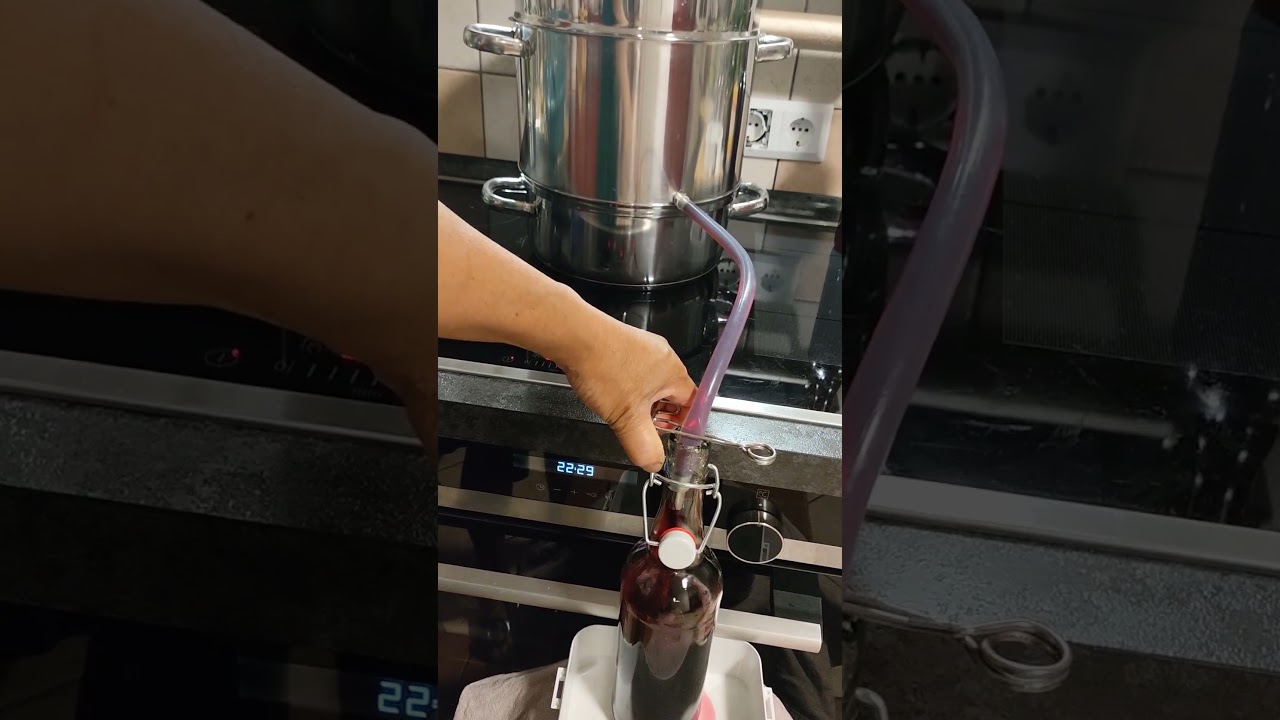 HowI Harvest Black Currants Fruits and after i Made a Black Currants Juice.