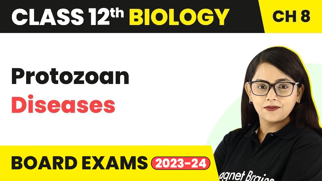Protozoan Diseases - Human Health & Disease | Class 12 Biology Chapter 8 (2022-23)