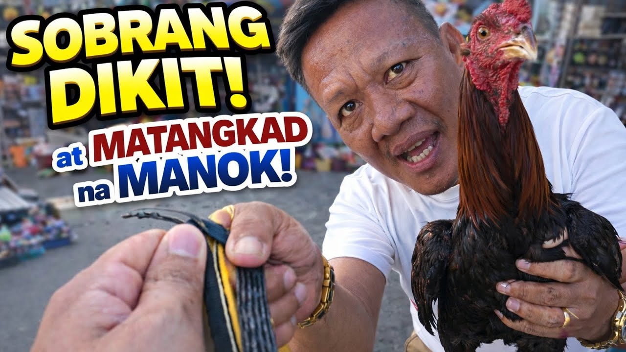 TOTOO PALA TO? SOBRANG DIKIT NITO! Grotto Pet Market