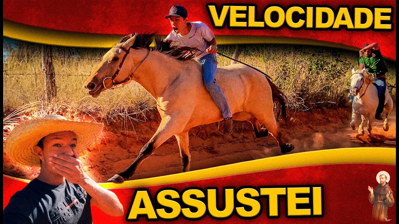 CORRIDA DE CAVALO - Assustei a velocidade de minha égua - Diana Noble
