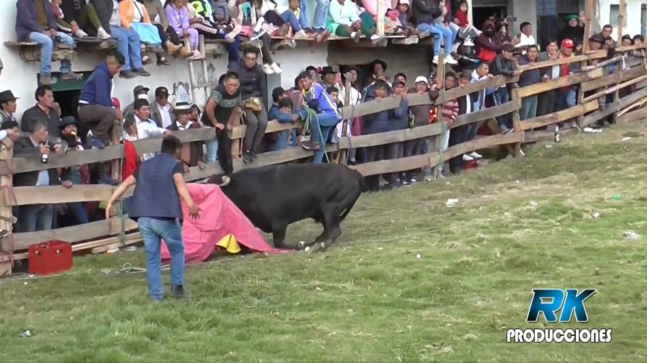 🔥 CORRIDA DE TOROS HUAYLLAY CHICO  🔥