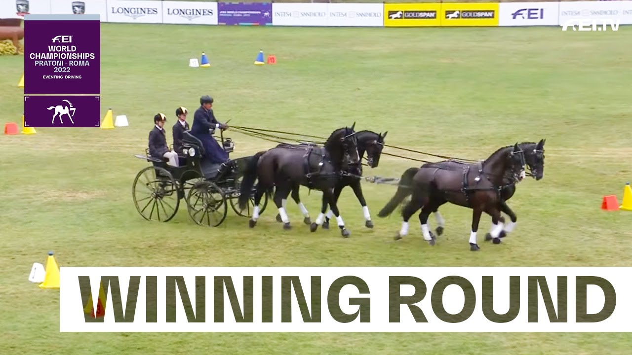 Brilliant Boyd simply unbeatable! 🥇 | FEI Driving World Championship 2022