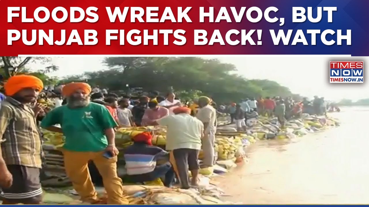 In Punjab, Floods Wreak Havoc, But Hope Refuses To Sink In | Watch Real Stories Of Unshaken Spirit