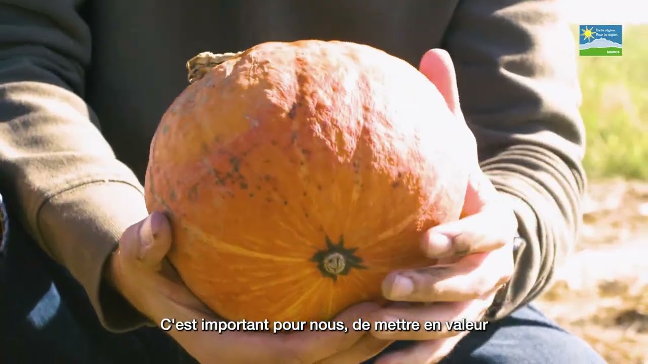Vincent Keuffer, maraîcher 👨‍🌾 à Lonay.