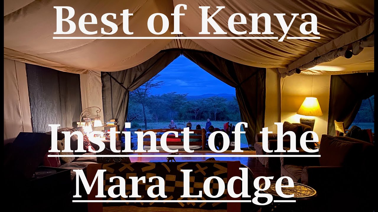 Wild lodges of Kenya: Instinct of the Mara