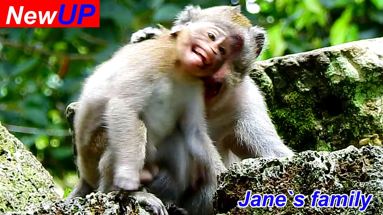 O.M.G! Br@t Jonna cried convuls!ve tEmper Jane sl@p denied milk and left her alone sleeping sadness.