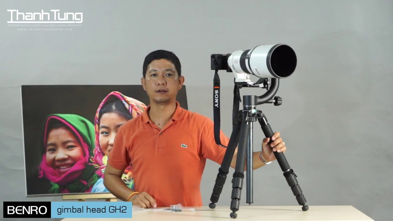 BENRO gimbal head GH2
