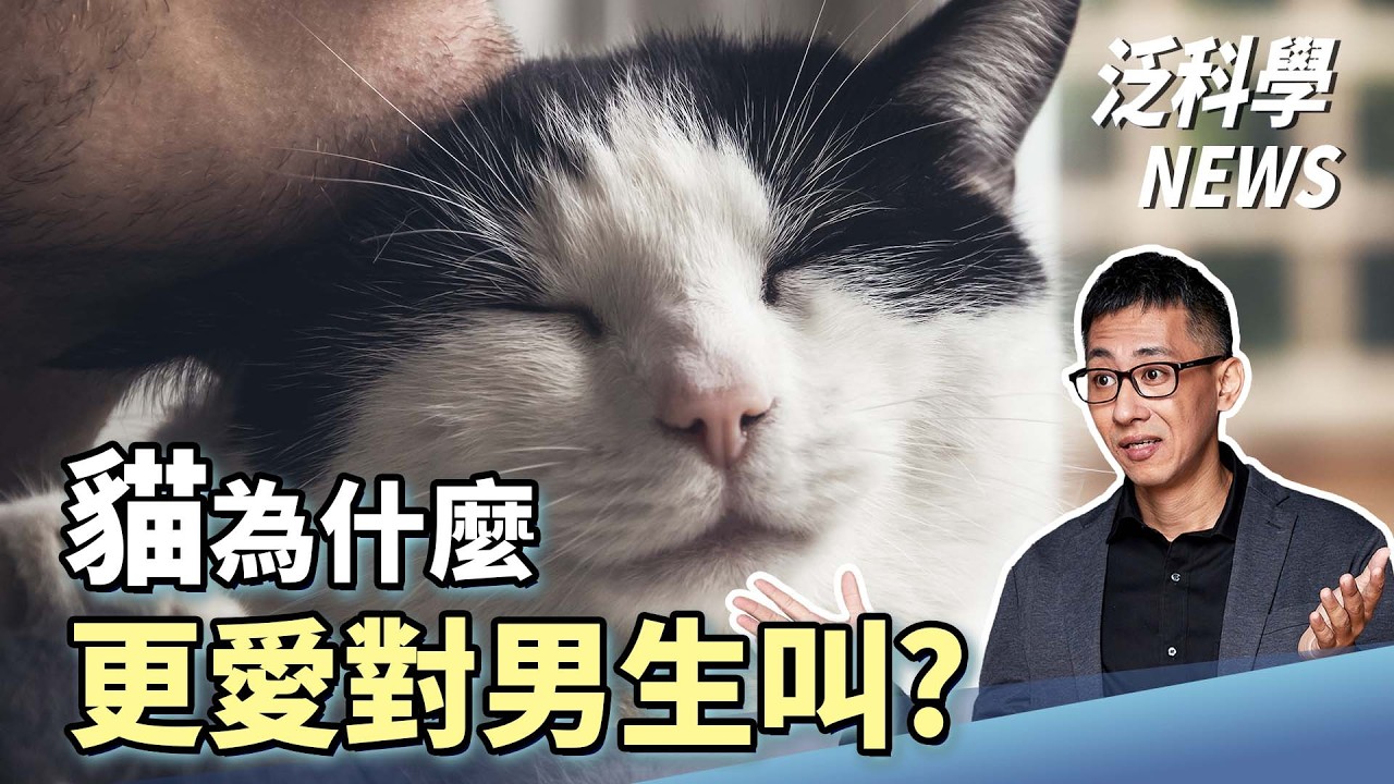 貓咪對你叫是因為你遲鈍？證實AI能決定選舉結果！【泛科學NEWS EP37】