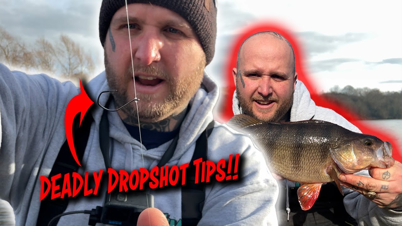 How To Catch BIG Perch On Dropshot!! The Rivers Have FINALLY Recovered!!