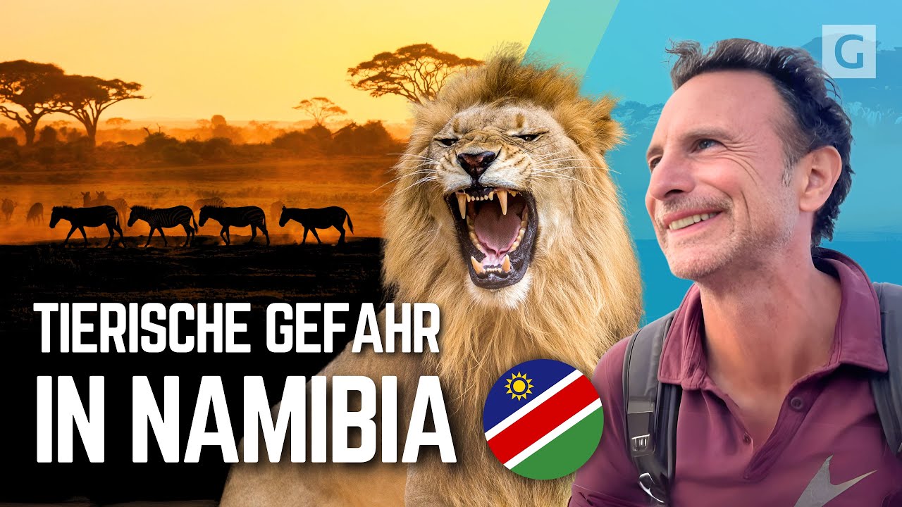 S3:F7 Ausgeliefert • Namibias Tierwelt & Pannenserien | PATHFINDER – Durch Afrika am Limit! DOKU