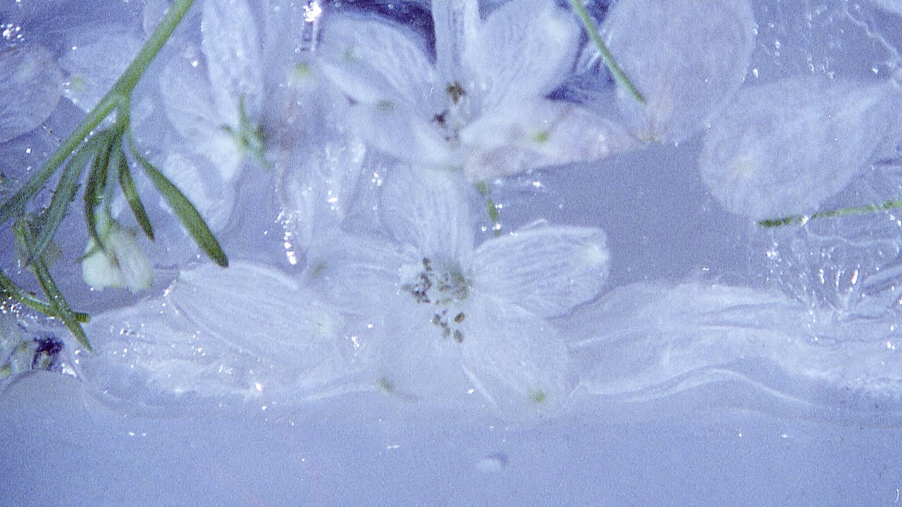 겸(GYE0M) - 겨울 끝의 밤 [Official Visualizer]